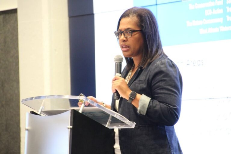 Sept. 1 Summit Recap: Watershed Management in Westside’s Proctor Creek