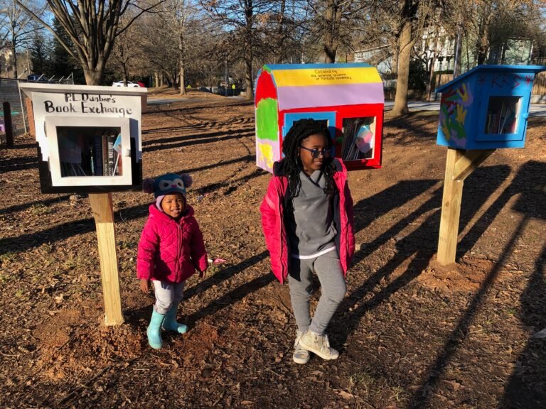 Community News: Little Free Libraries to be planted at Hollis Innovation Academy, sponsored by Westside Future Fund