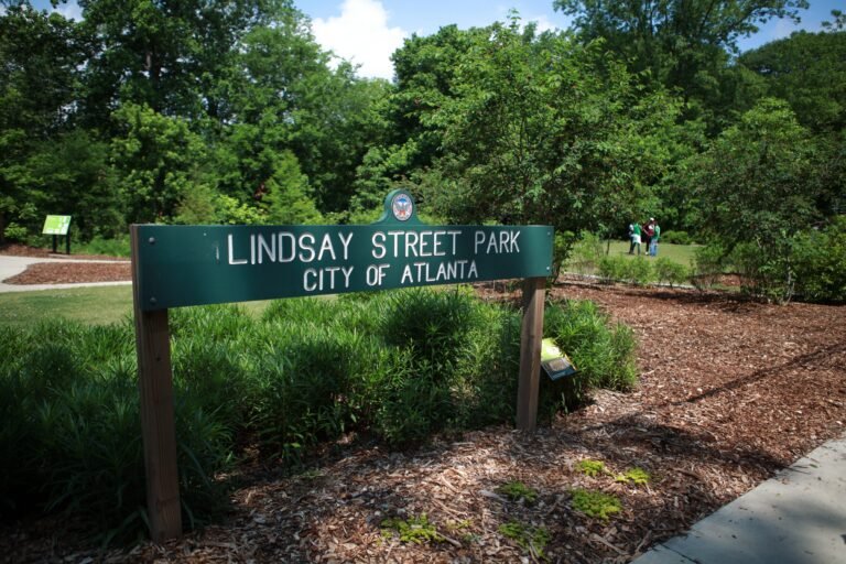 Recap: Westside Volunteer Corps’ May Day of Service — A Day in the Park!
